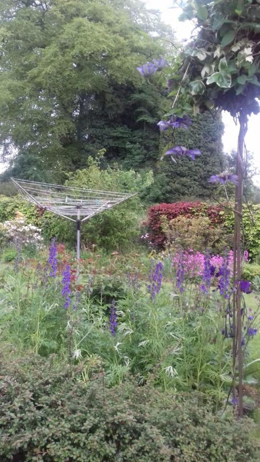 Rossmore Bed And Breakfast Castlepollard Bagian luar foto